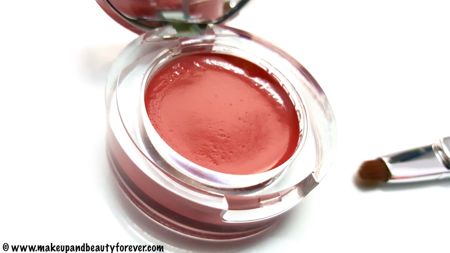 Colorbar Pout in a Pot Lipcolor 008 Charming Pink Review Swatch India