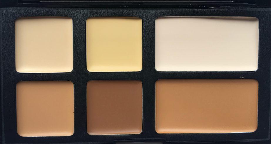 Freedom Pro Cream Strobe Palette with Brush Review Swatches focus