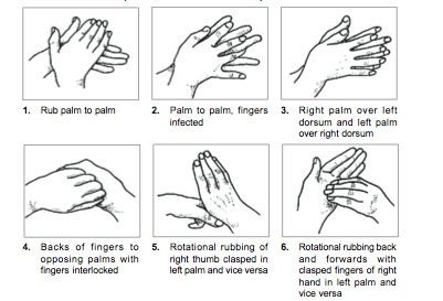 Steps of Hand Washing