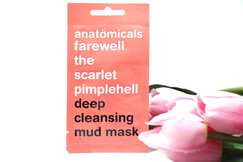 Anatomicals Deep Cleansing Mud Face Mask Review