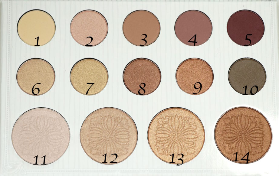 BH Cosmetics Carli Bybel Eyeshadow & Highlighter Palette Review, Swatches Closeup with Numbers