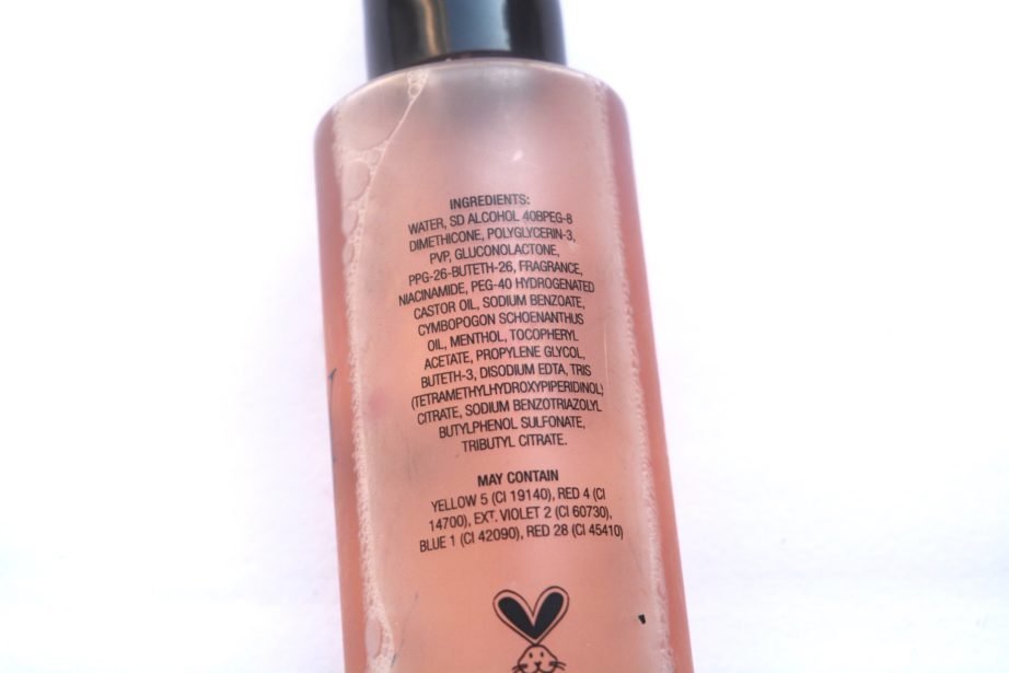 Gerard Cosmetics Slay All Day Makeup Setting Spray Review Ingredients
