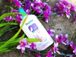 Himalaya Intimate Wash for Moms Review, Swatches