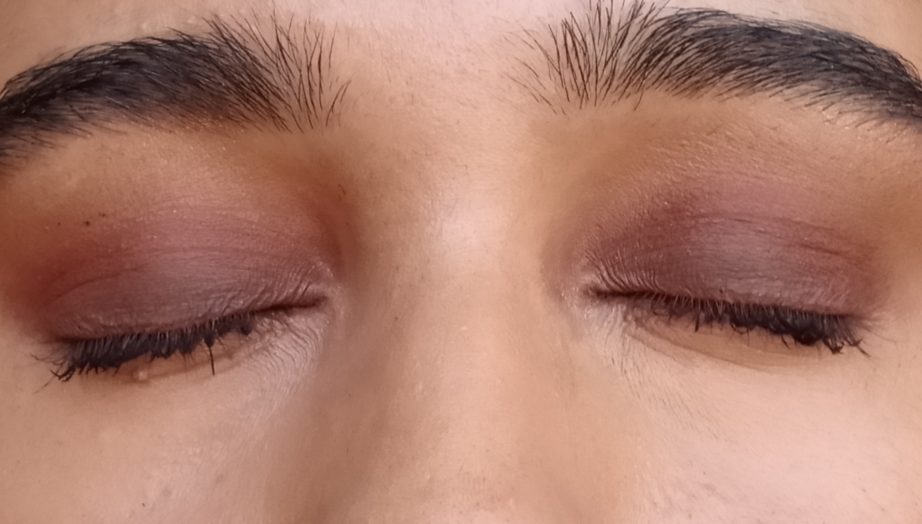 Wet n Wild Rosé In The Air Color Icon Eyeshadow 10 Pan Palette Review, Swatches MBF Eye Makeup Look 1