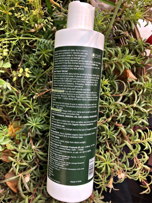 Organic Harvest Anti Dandruff Shampoo Review