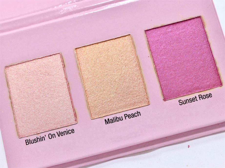 Wet n Wild Color Icon Blush Palette Review, Swatches MBF