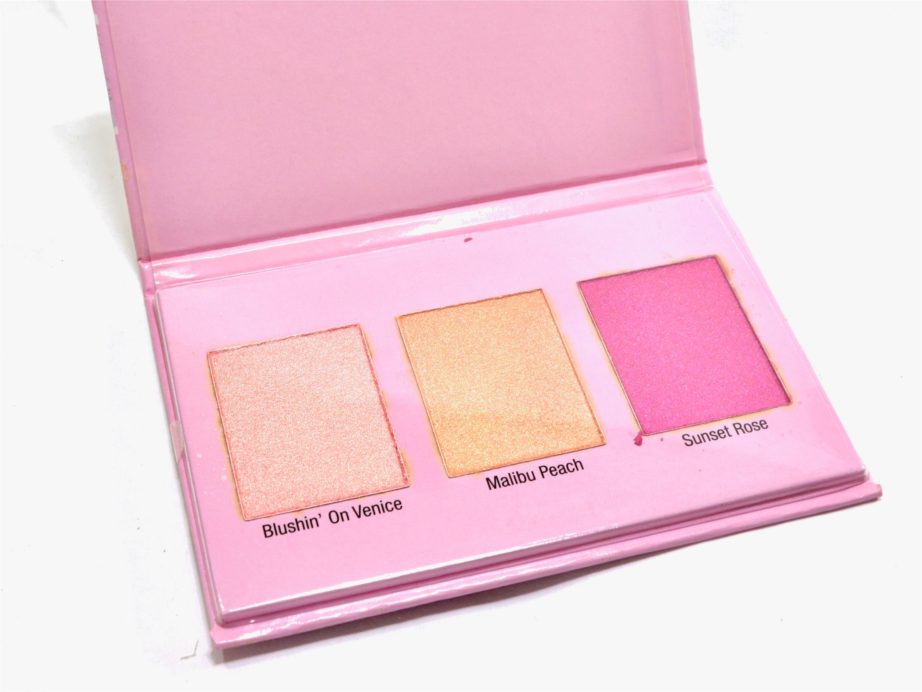 Wet n Wild Color Icon Blush Palette Review, Swatches close up