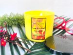 Bath & Body Works Sun-Kissed Coconut 3 Wick Candle Review