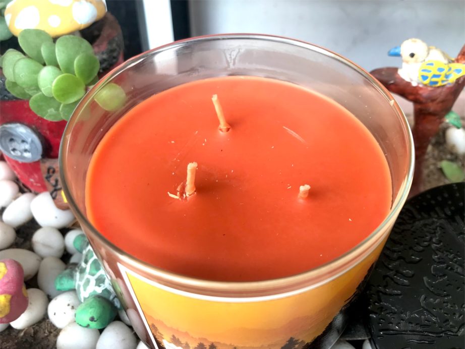 Bath & Body Works Pumpkin Clove 3 Wick Candle Review MBF