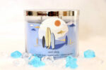 Bath & Body Works Surf Shop 3 Wick Candle Review